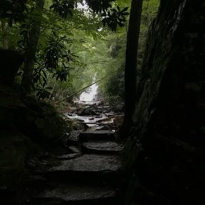 Meet your Posher, Wyatt